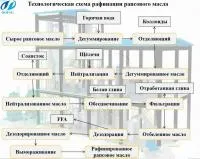 Мини оборудование для рафинации рапсового масла в малом заводе по рафинации рапсового масла